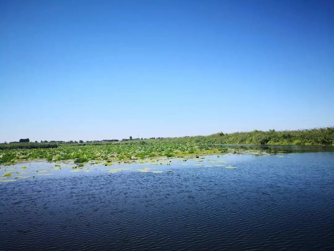河北實(shí)施白洋淀流域水生態(tài)監(jiān)測(cè) 進(jìn)一步加強(qiáng)水生態(tài)環(huán)境保護(hù)